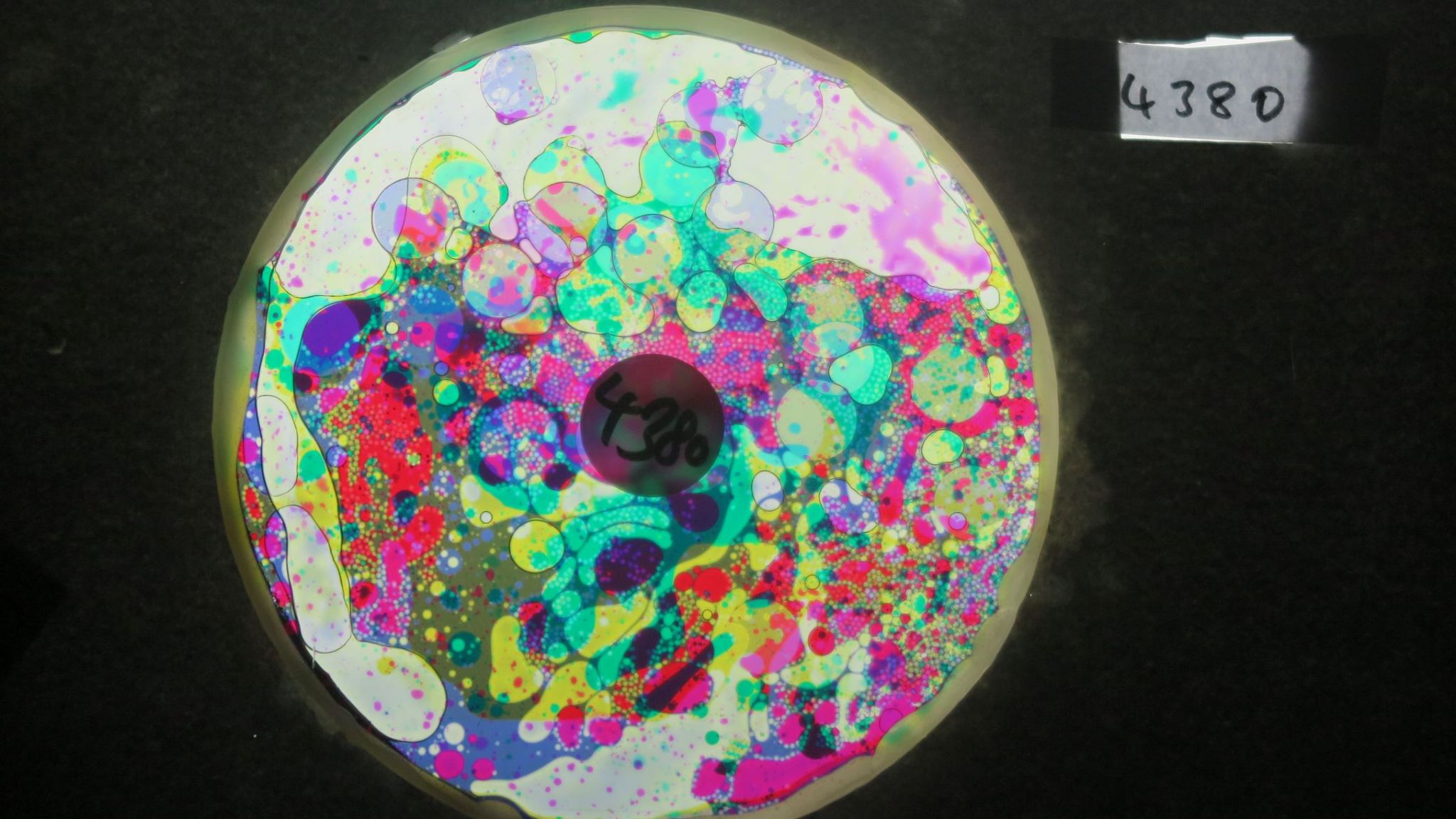 BV4380 bubble vision oil wheel